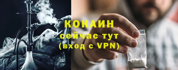 ПСИЛОЦИБИНОВЫЕ ГРИБЫ Каменногорск