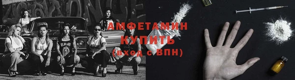 ПСИЛОЦИБИНОВЫЕ ГРИБЫ Каменногорск