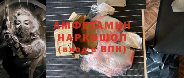 ПСИЛОЦИБИНОВЫЕ ГРИБЫ Каменногорск