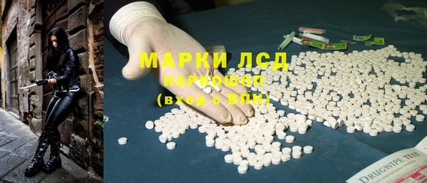 ПСИЛОЦИБИНОВЫЕ ГРИБЫ Каменногорск