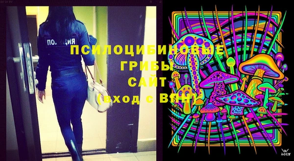 ПСИЛОЦИБИНОВЫЕ ГРИБЫ Каменногорск
