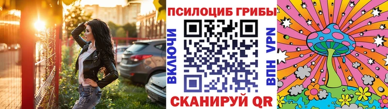 площадка какой сайт  Полтавская  Галлюциногенные грибы прущие грибы 