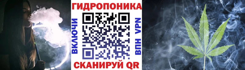 купить наркотик  Полтавская  Бошки Шишки гибрид 
